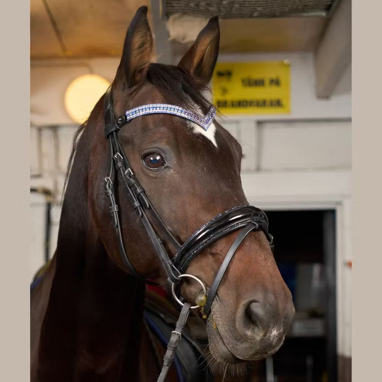 Brett blått strasspannband häst