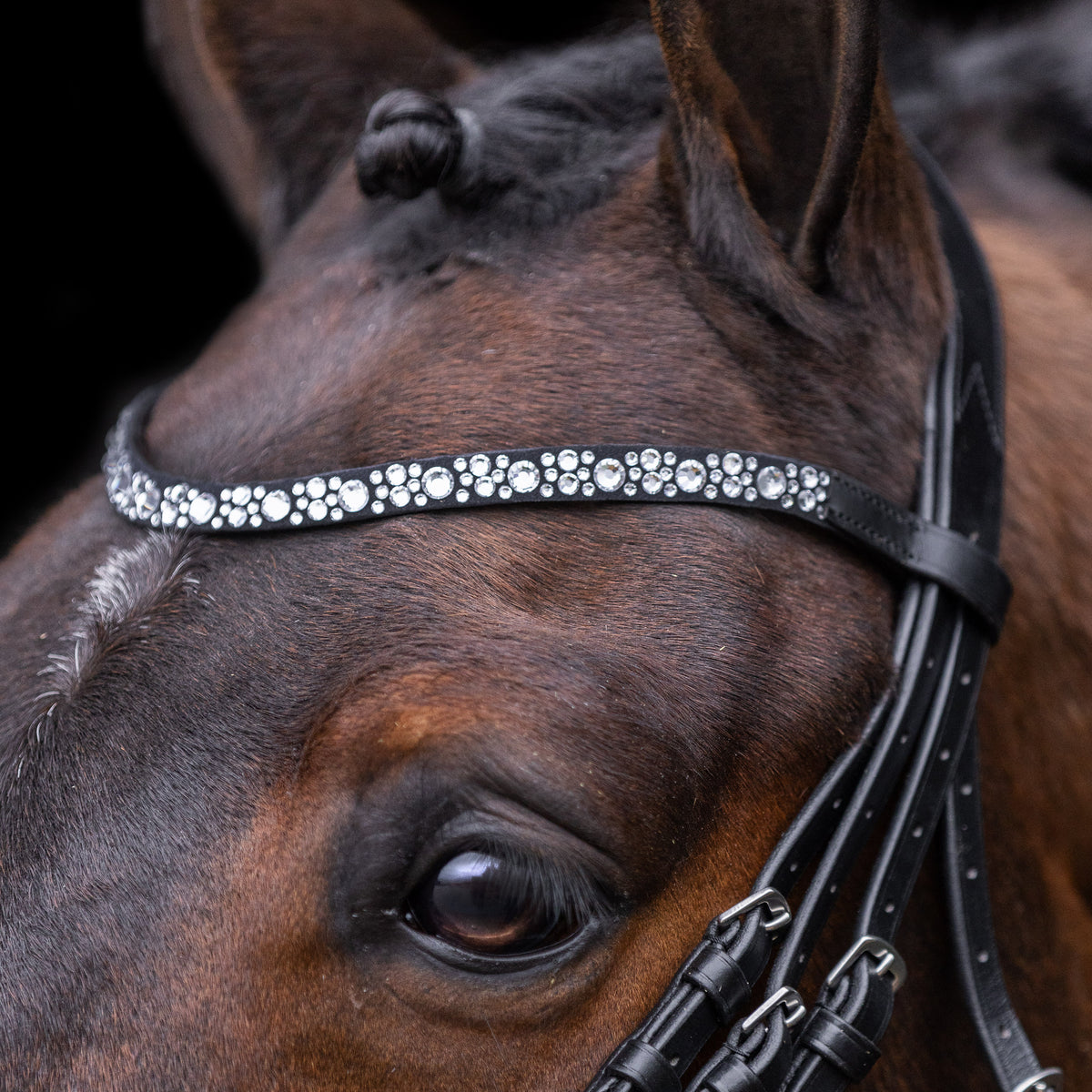 Bridle IRHOlympia