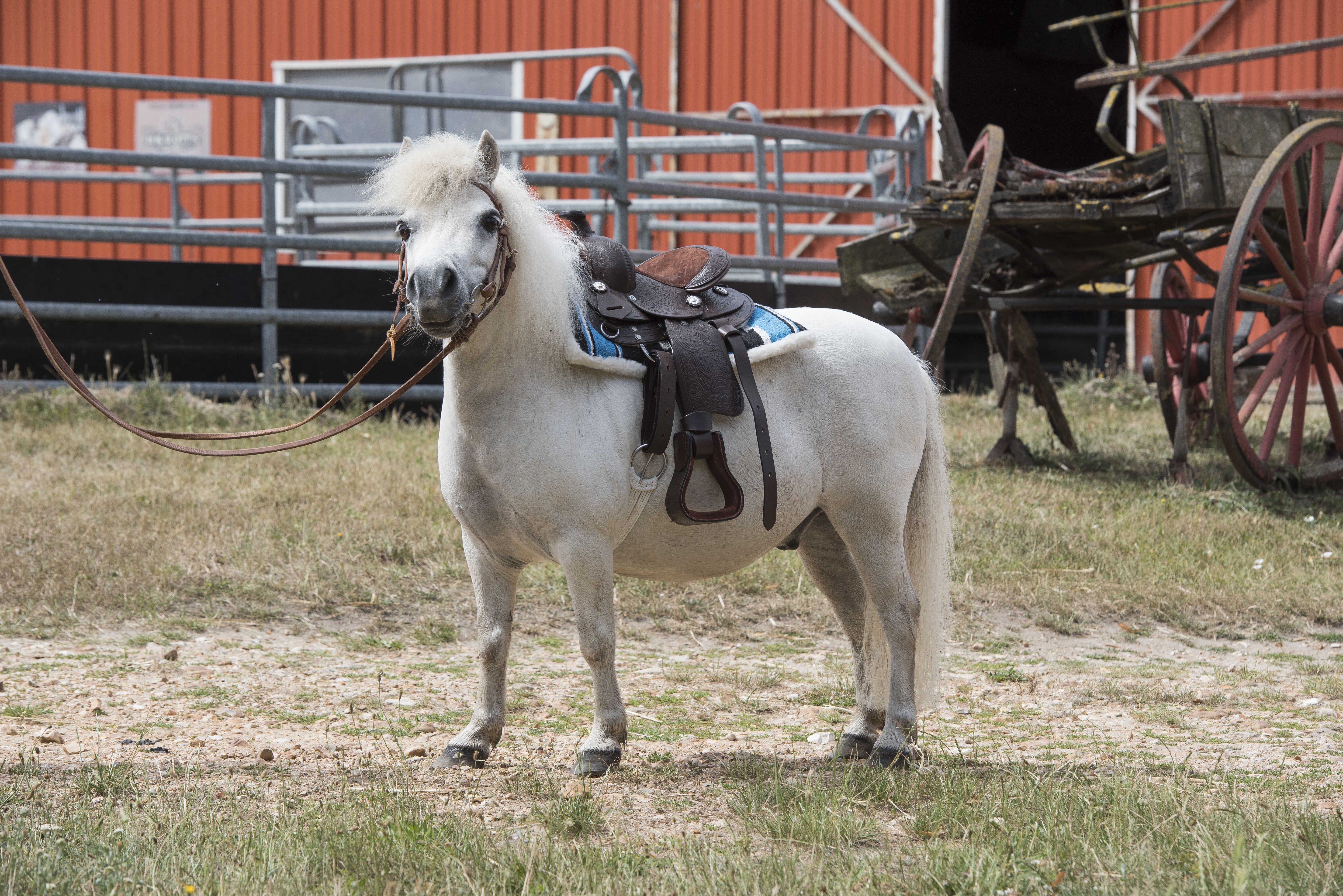 WESTRIDE Quilted Navajo saddle pad