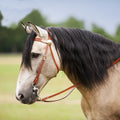 WESTRIDE Bridle - Two Tone