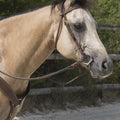 WESTRIDE bridle by Franck Perret - Colorado