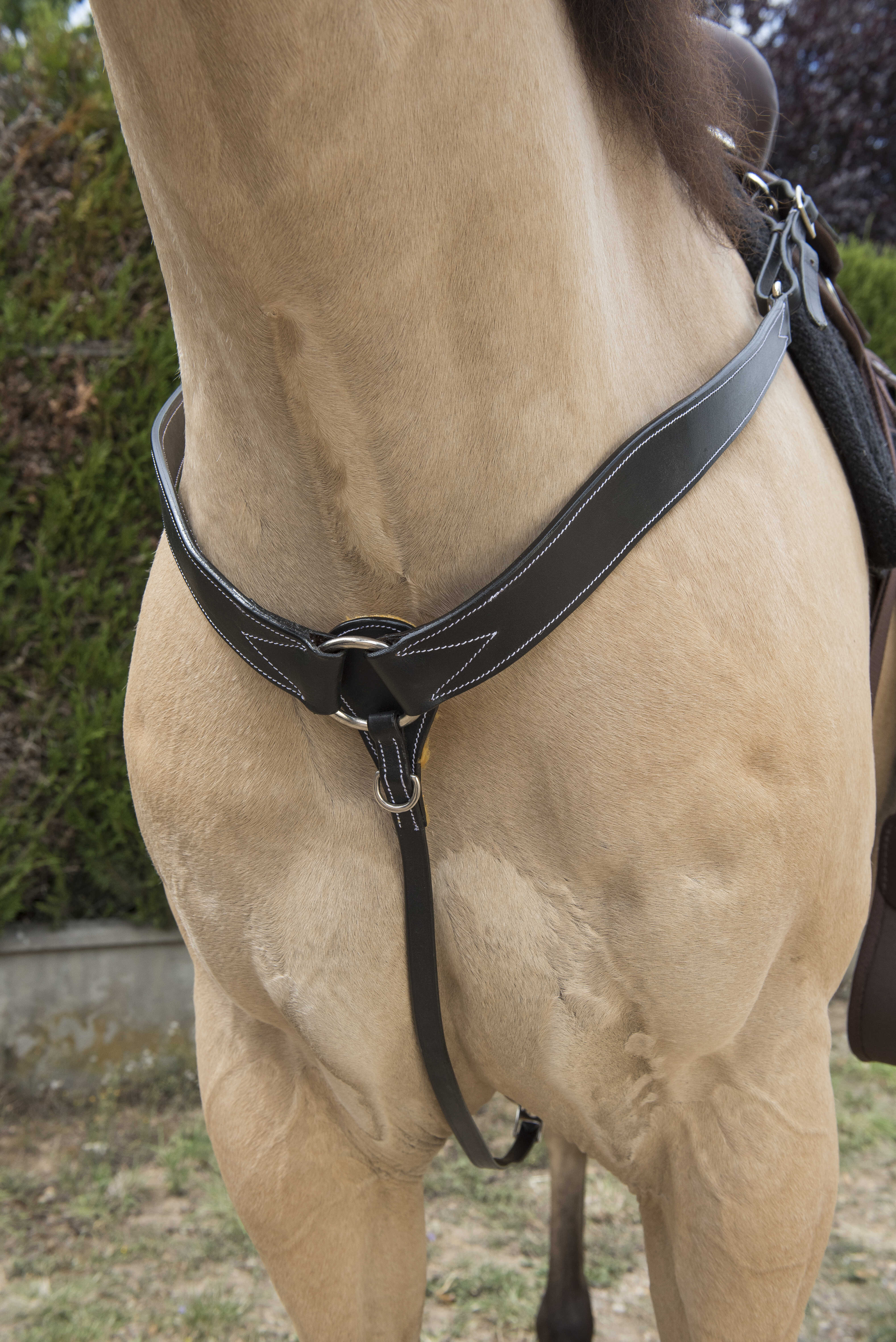 WESTRIDE Topstitched western hunting collar