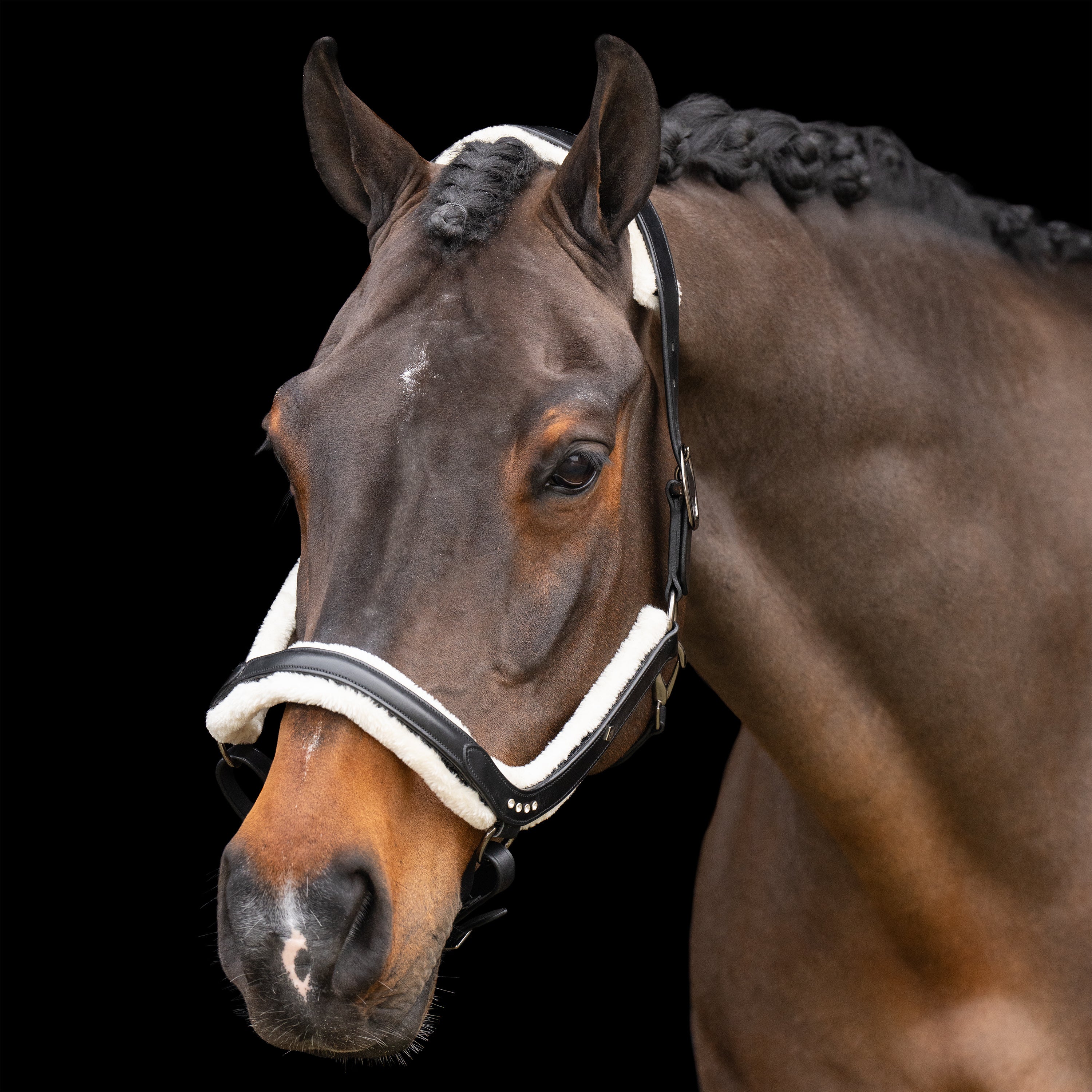 Headcollar IRHLuxury