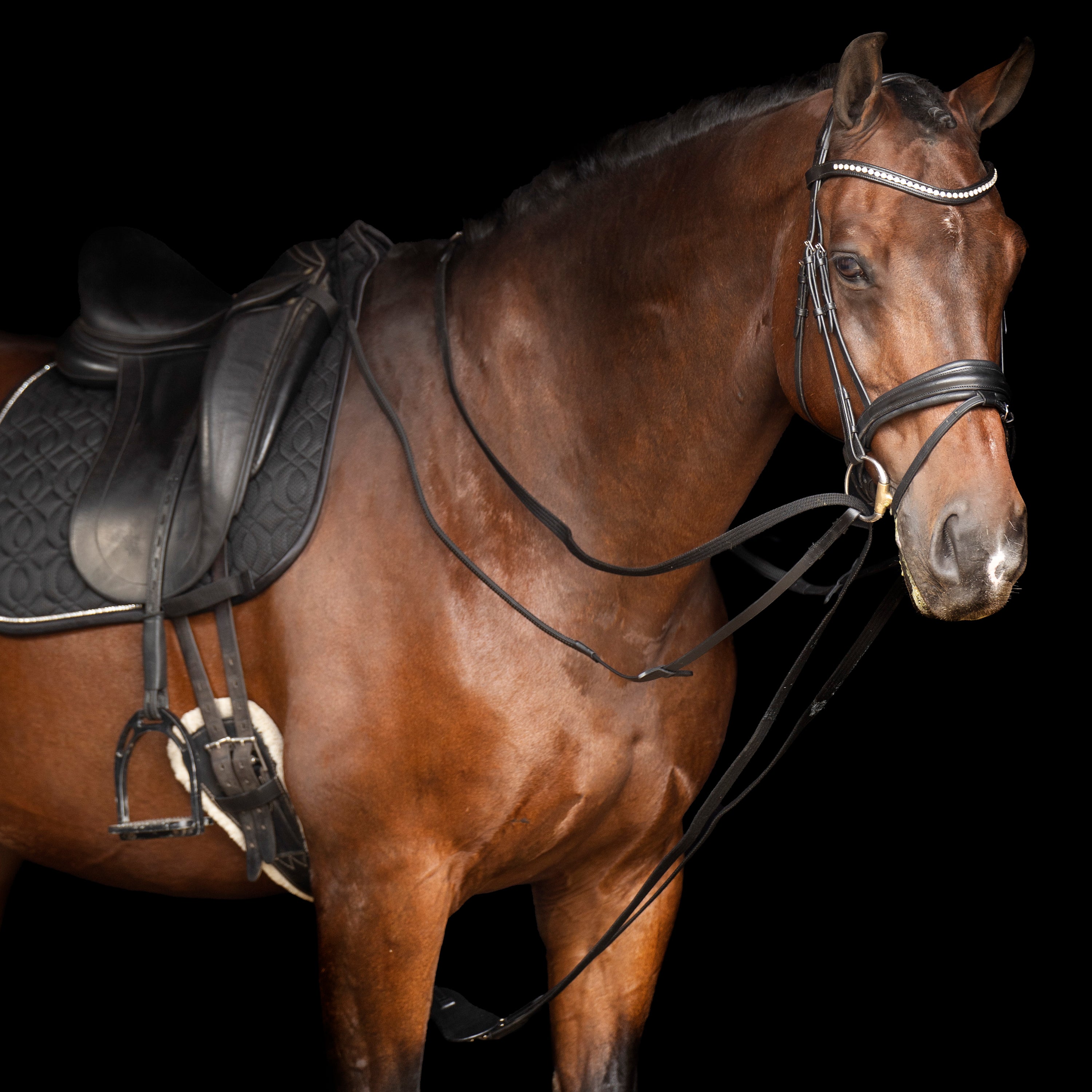 Drawreins SH IRHCore