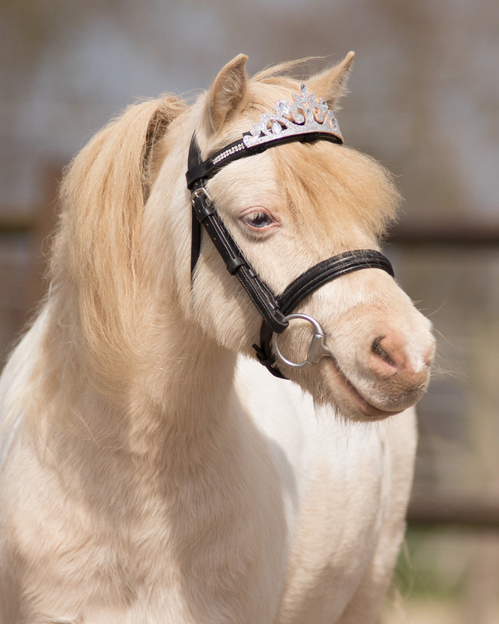Crown horse