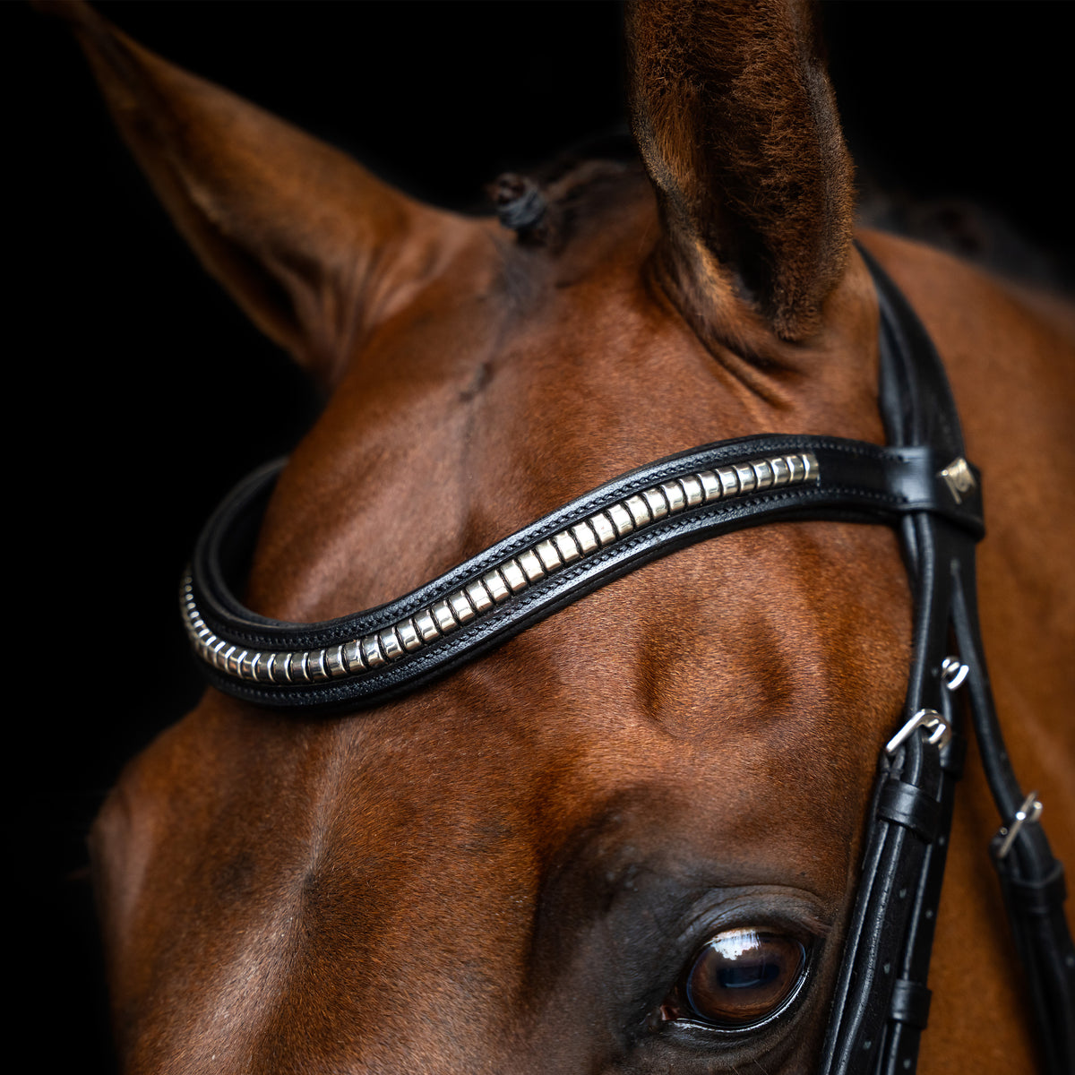 Bridle Mexican IRH
