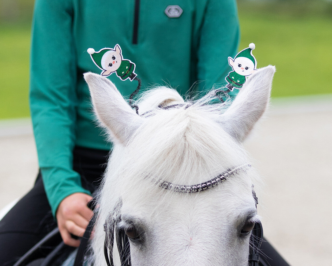 Crown piece accessory Christmas