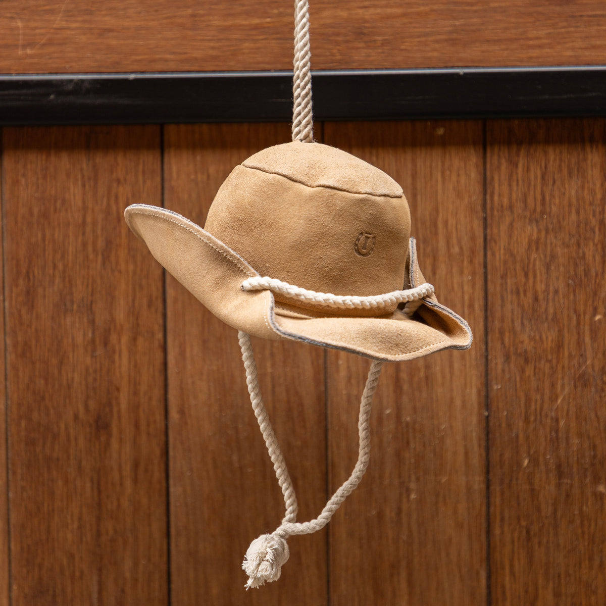 Stable buddy IRHCowboy hat