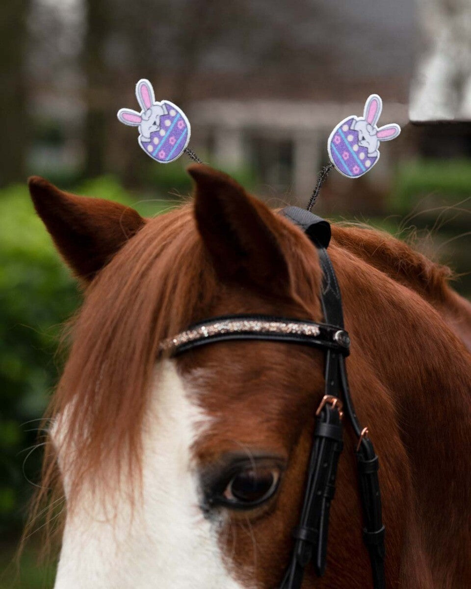 Crown piece accessory Easter