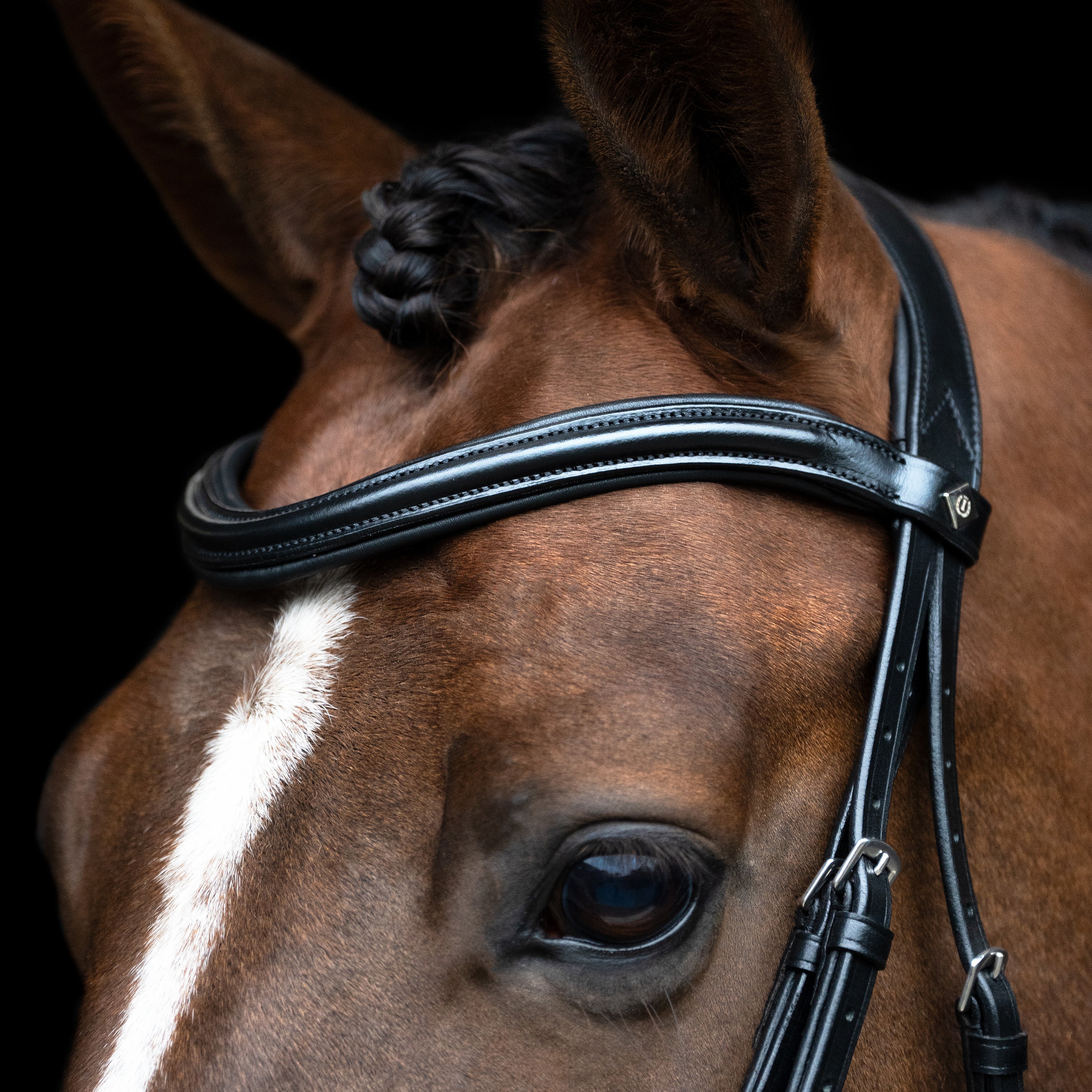 Bridle English combined sleek IRH