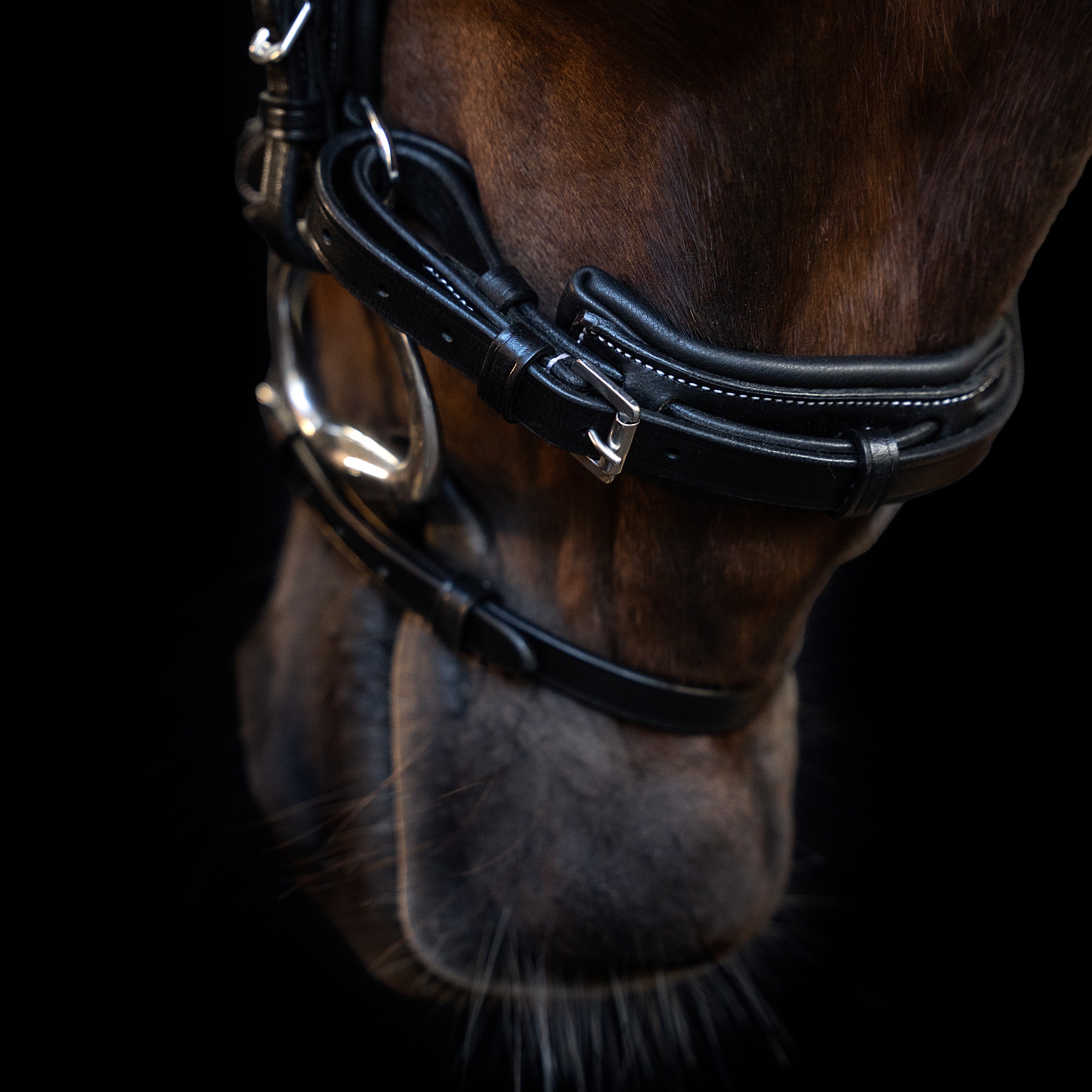 Bridle IRH with curved cut English noseband