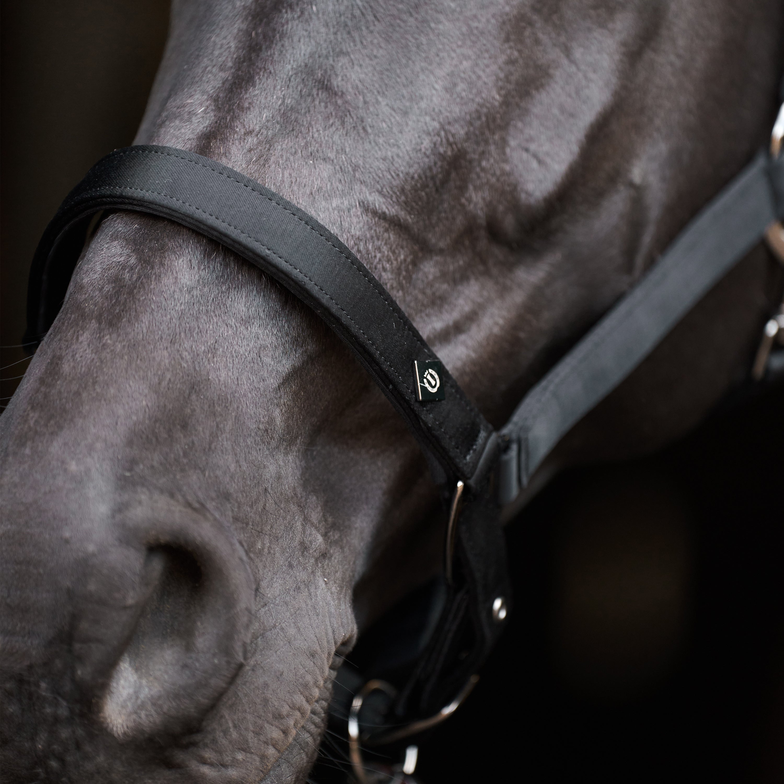 Headcollar IRHRebel