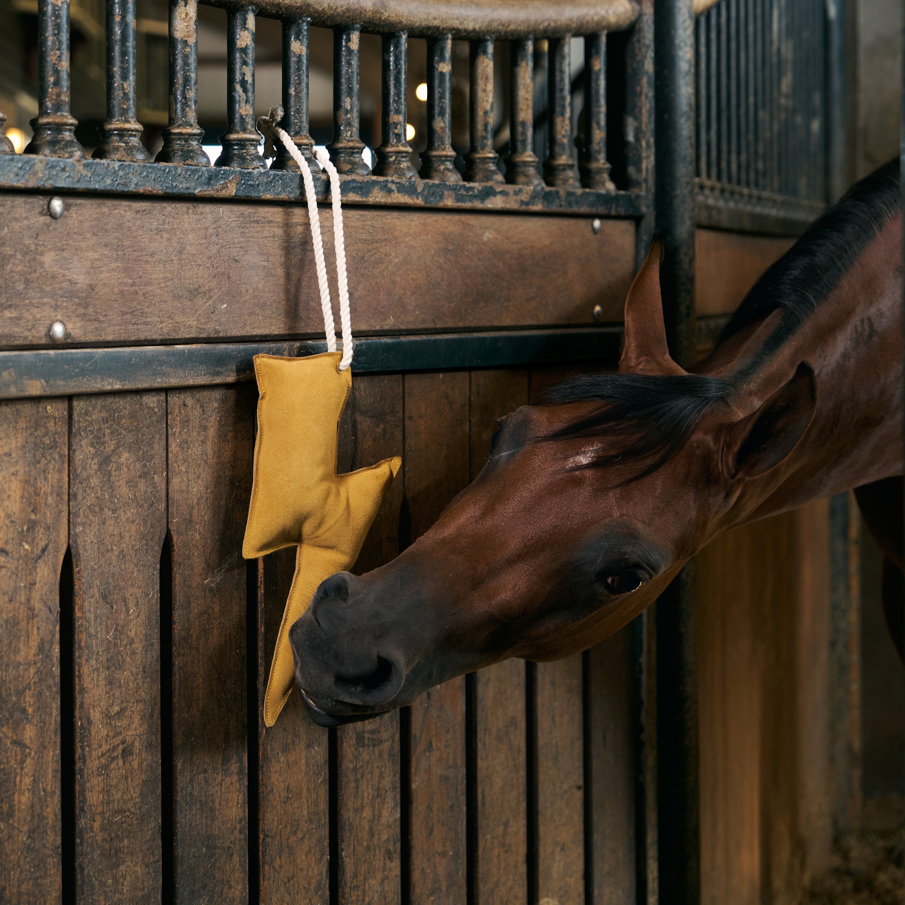 IRHStable buddy Lightning bolt