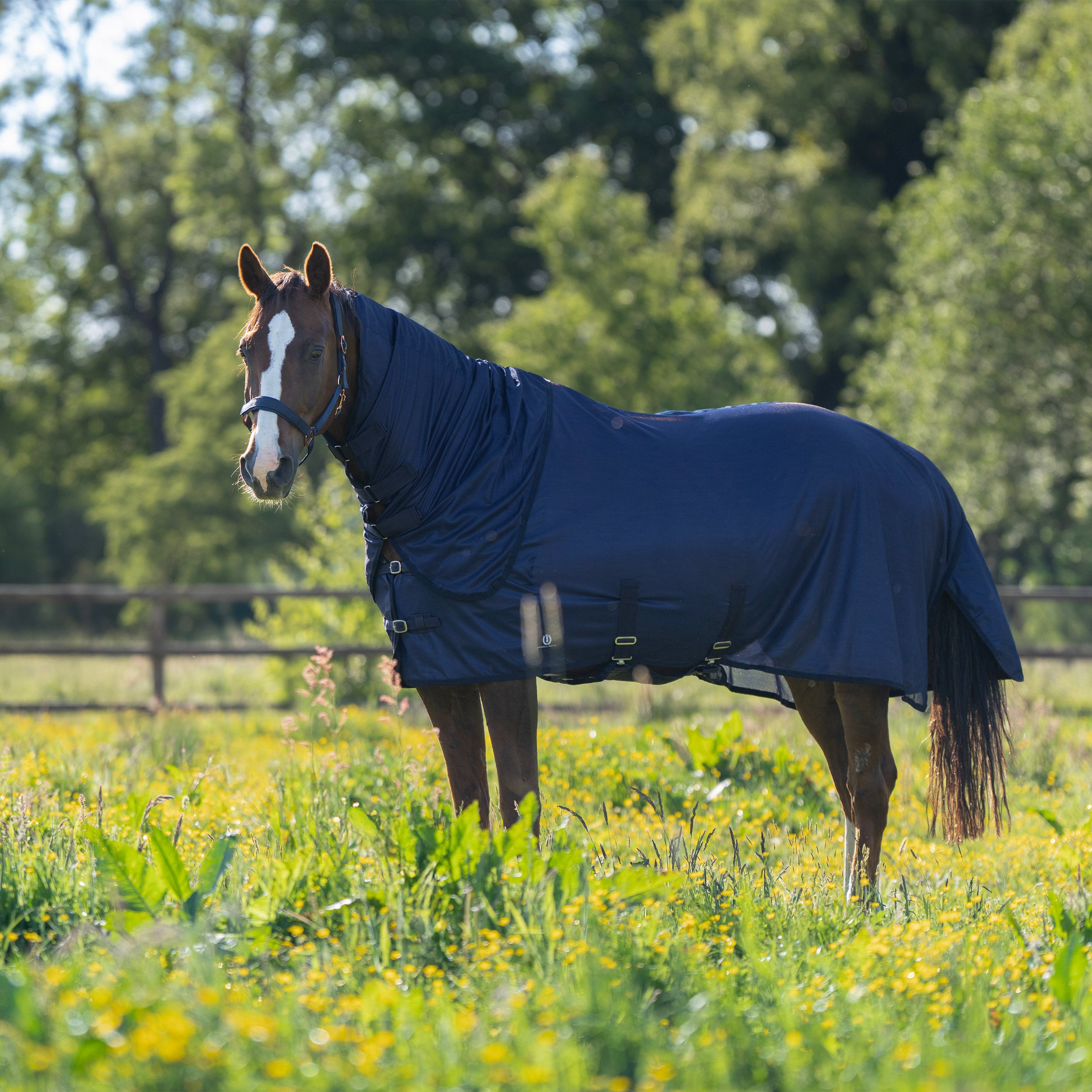 Fly blanket IRHReese