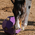 HIPPOTONIC Slow feeder ball for hay