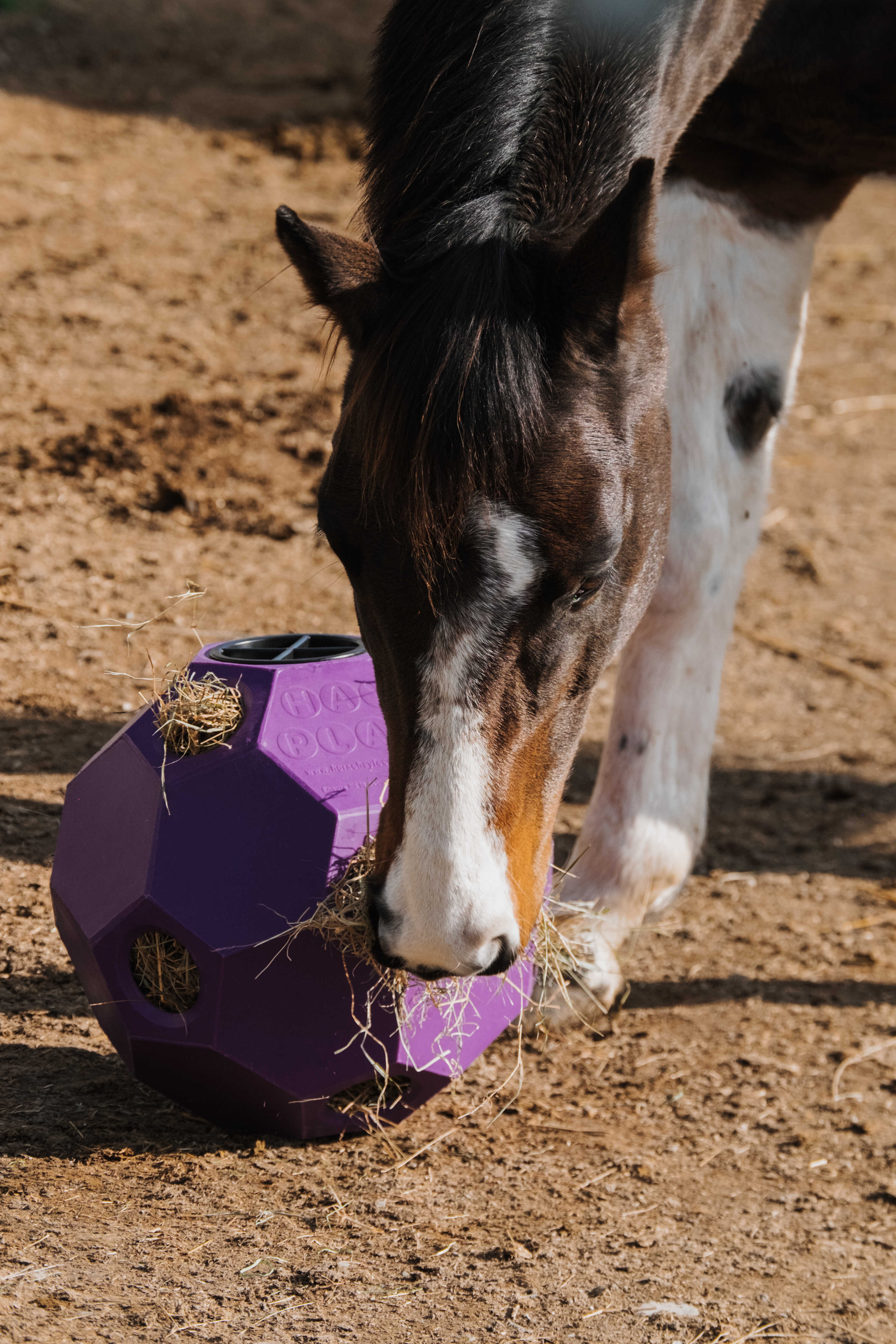 HIPPOTONIC Slow feeder ball for hay