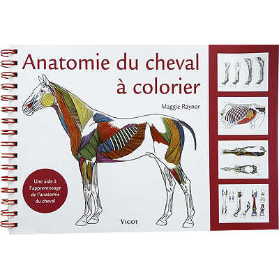 Anatomie du cheval Ã  colorier