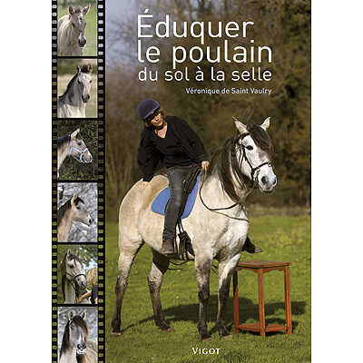 Ã‰duquer le poulain du sol Ã  la selle