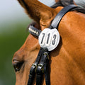 EQUITHÃˆME - 3-digit Round Starting Number