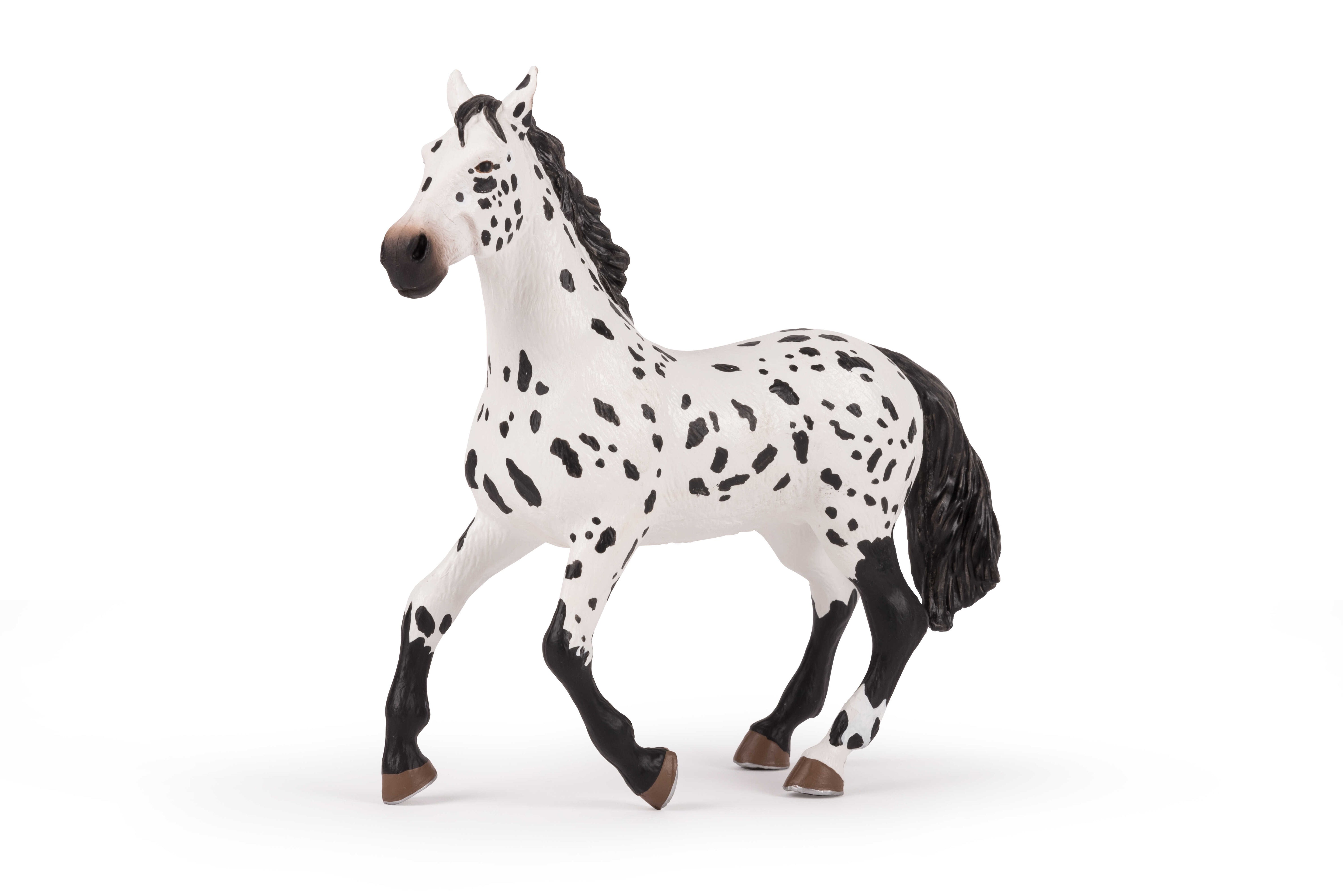 PAPO - Large Appaloosa Horse