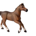 PAPO - Anglo-Arab Mare