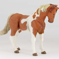 PAPO - Pinto Mare