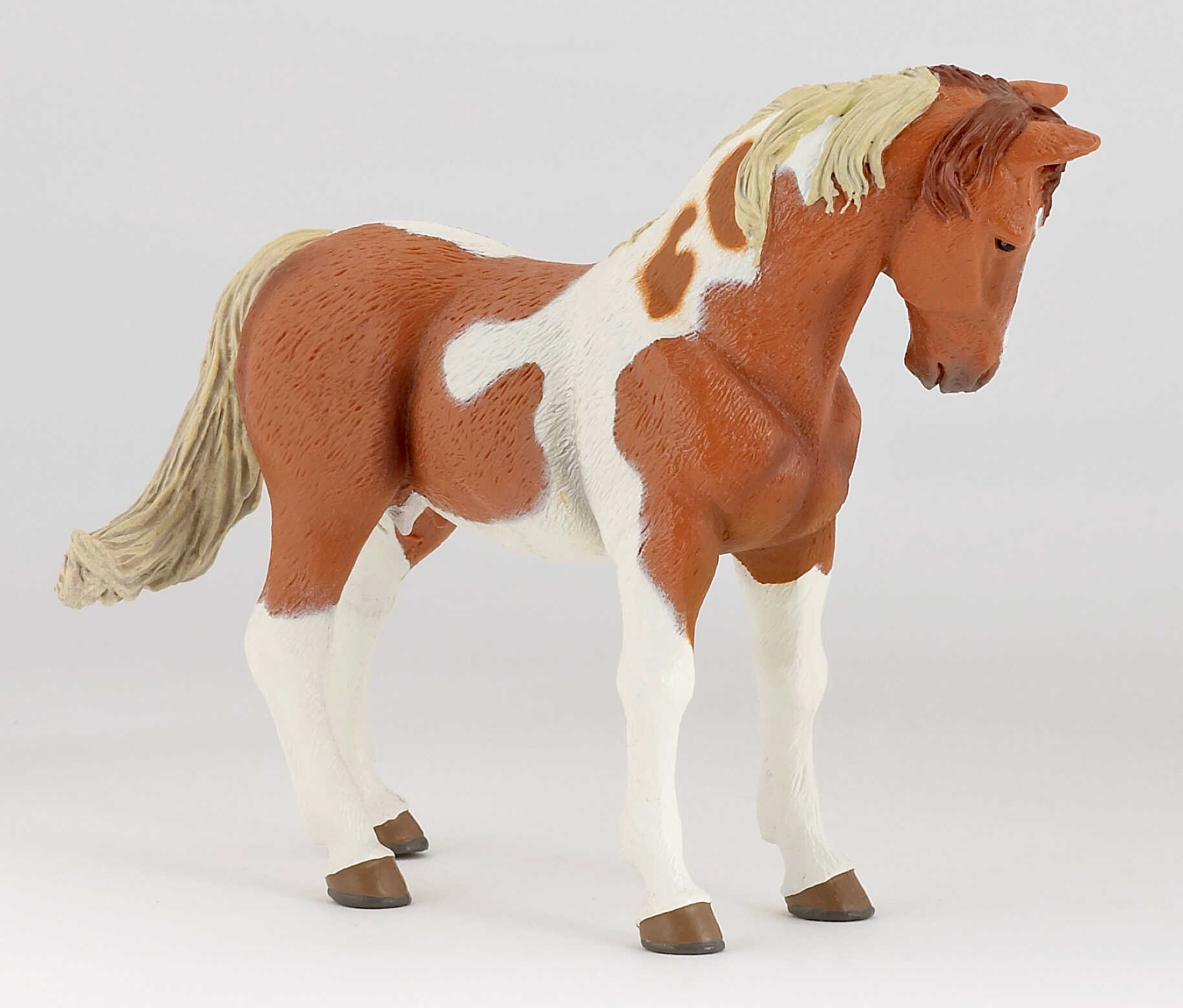 PAPO - Pinto Mare
