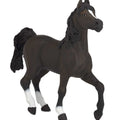 PAPO - Arabian Horse