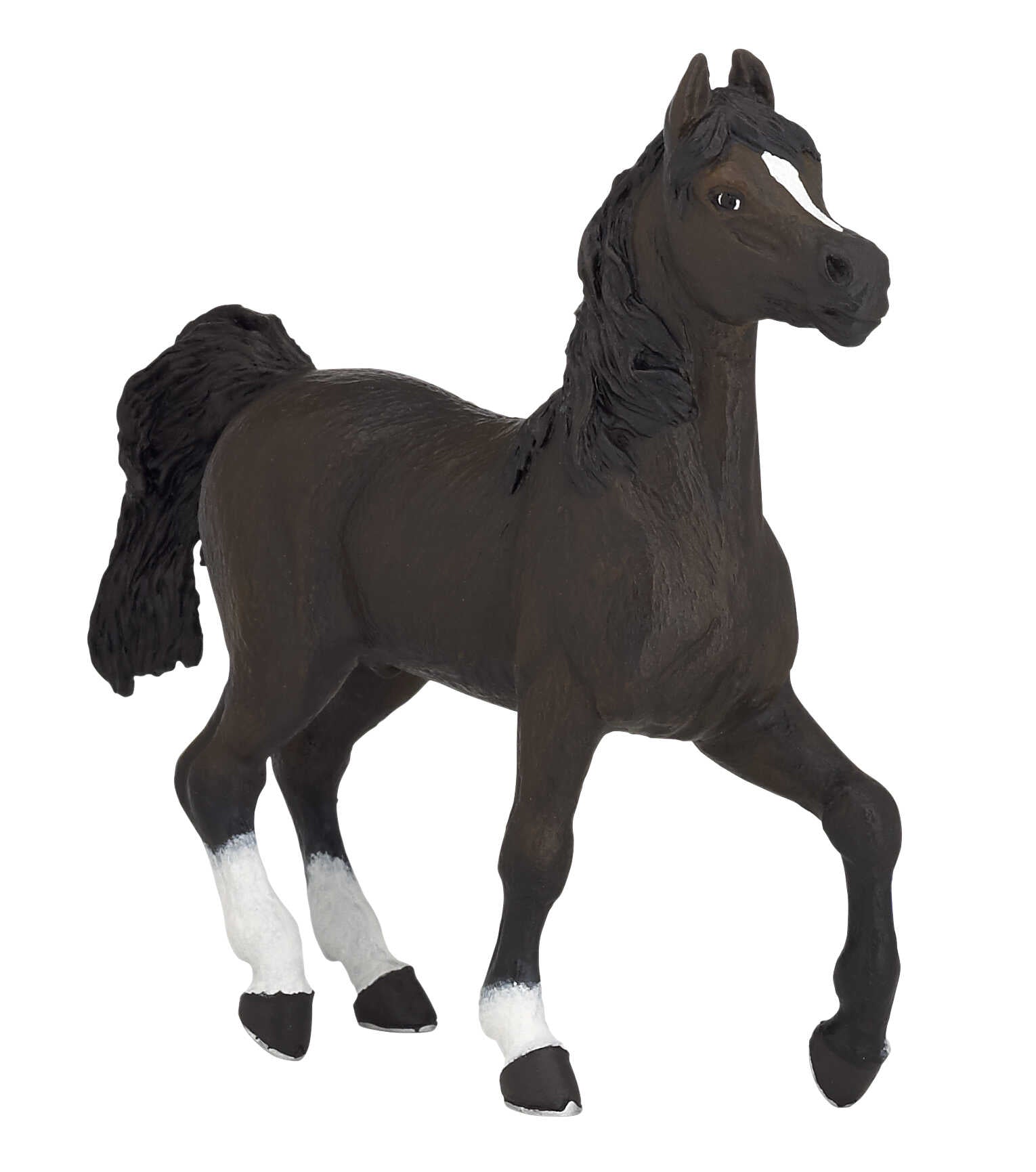 PAPO - Arabian Horse