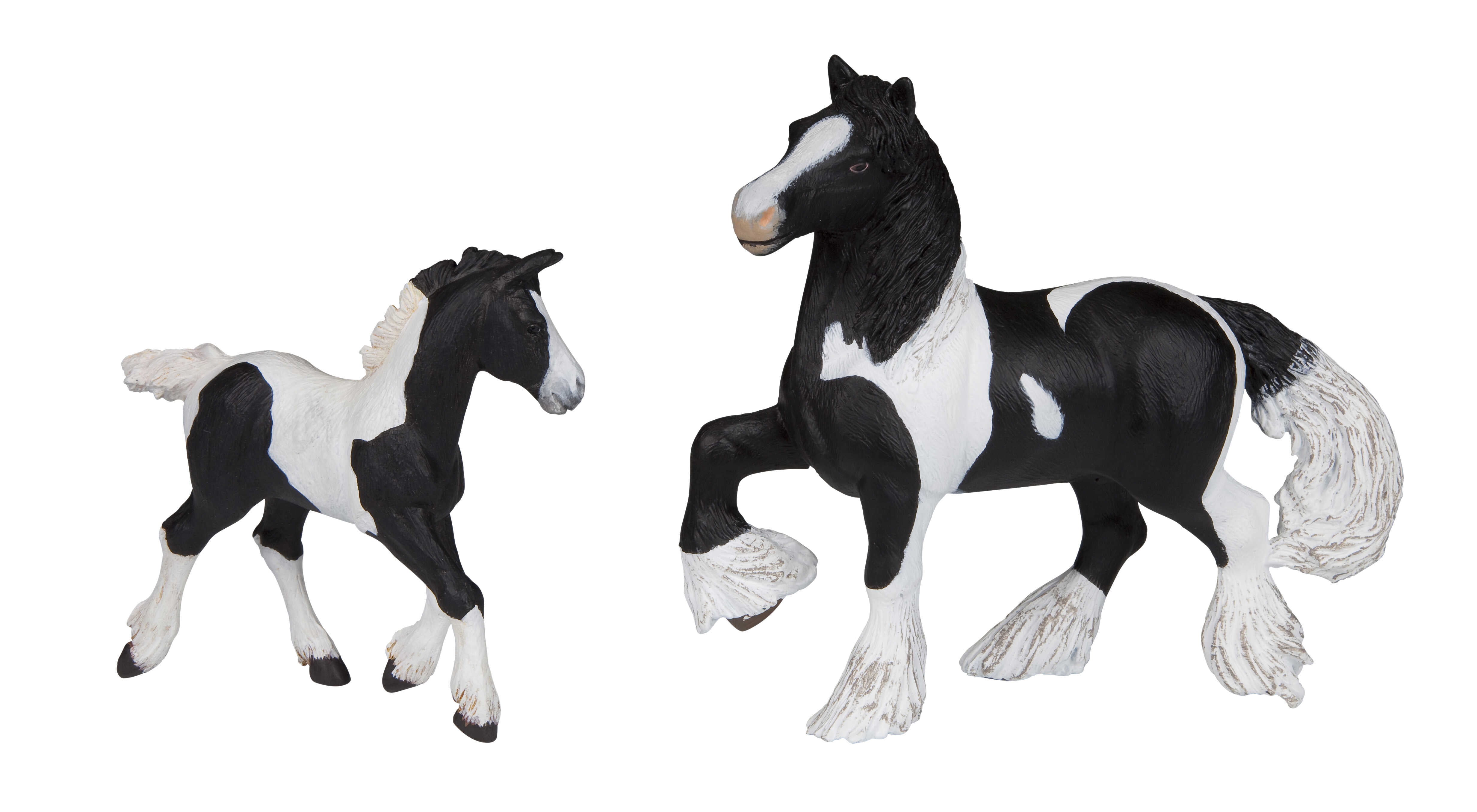 PAPO - Piebald Irish Cob Foal