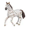 PAPO - Appaloosa Mare