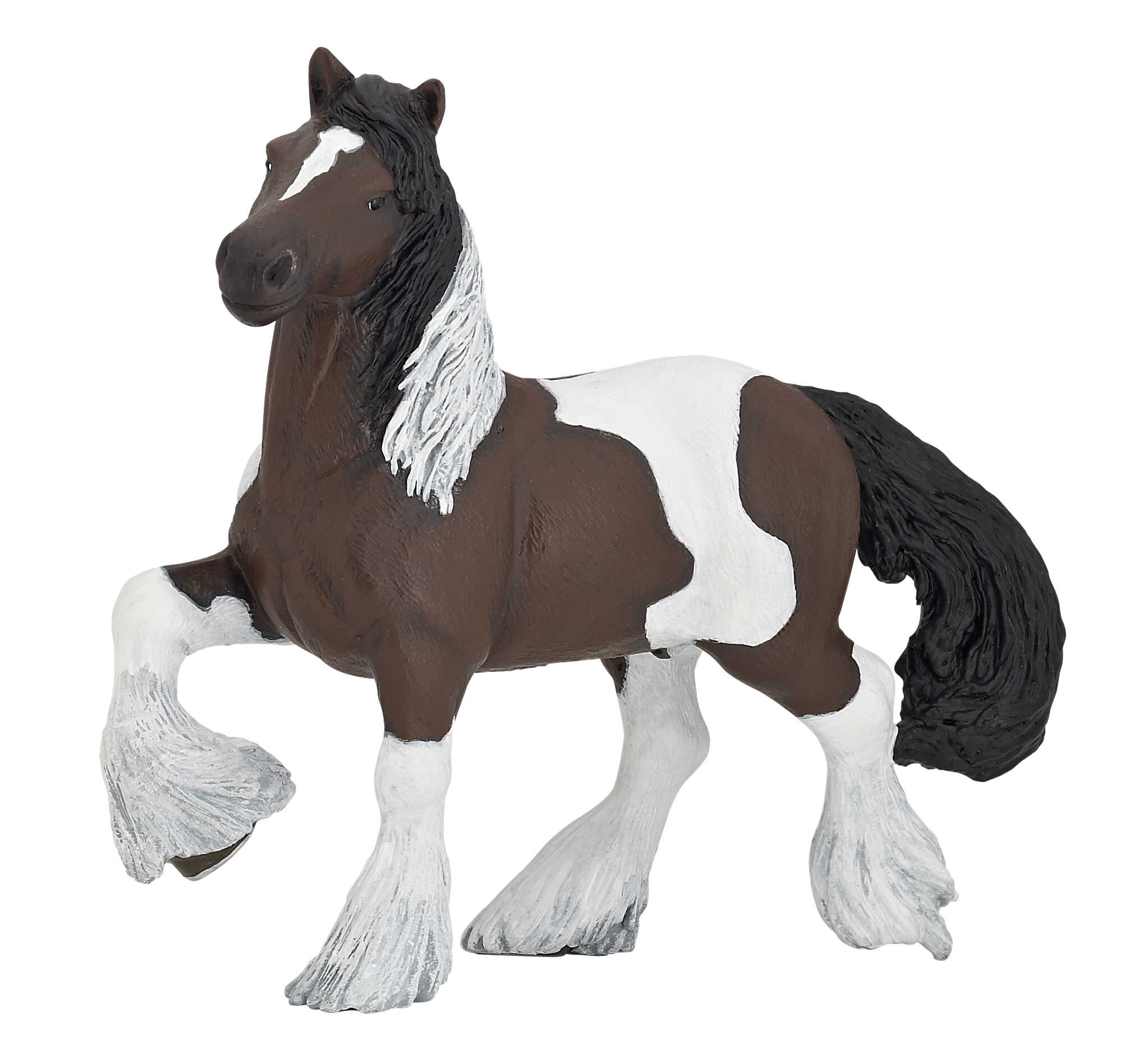 PAPO - Bay Irish Cob