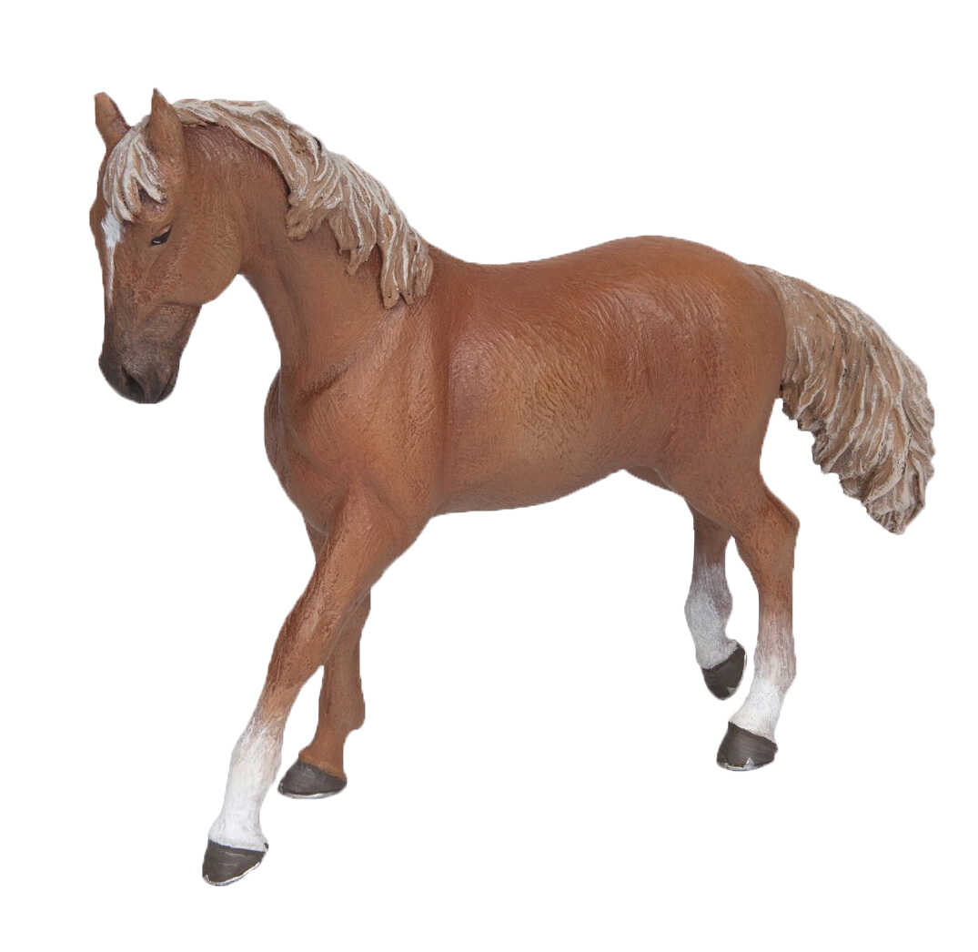 PAPO - Chestnut English Thoroughbred Mare