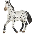 PAPO - Black Appaloosa Horse