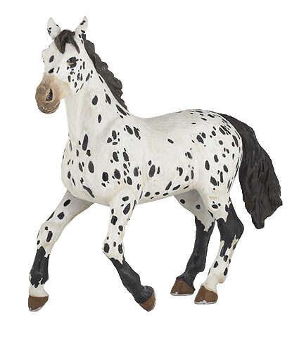 PAPO - Black Appaloosa Horse