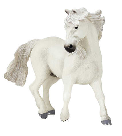 PAPO - Camargue Horse