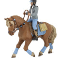 PAPO - Young Riderâ€™s Horse