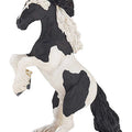 PAPO - Rearing Piebald Cob