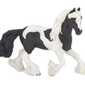 PAPO - Piebald Cob