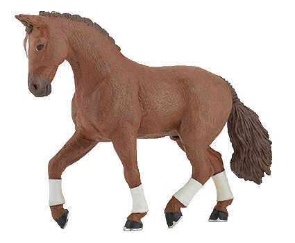 PAPO - Chestnut Hanoverian Horse