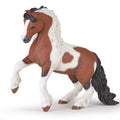 PAPO - Irish Cob