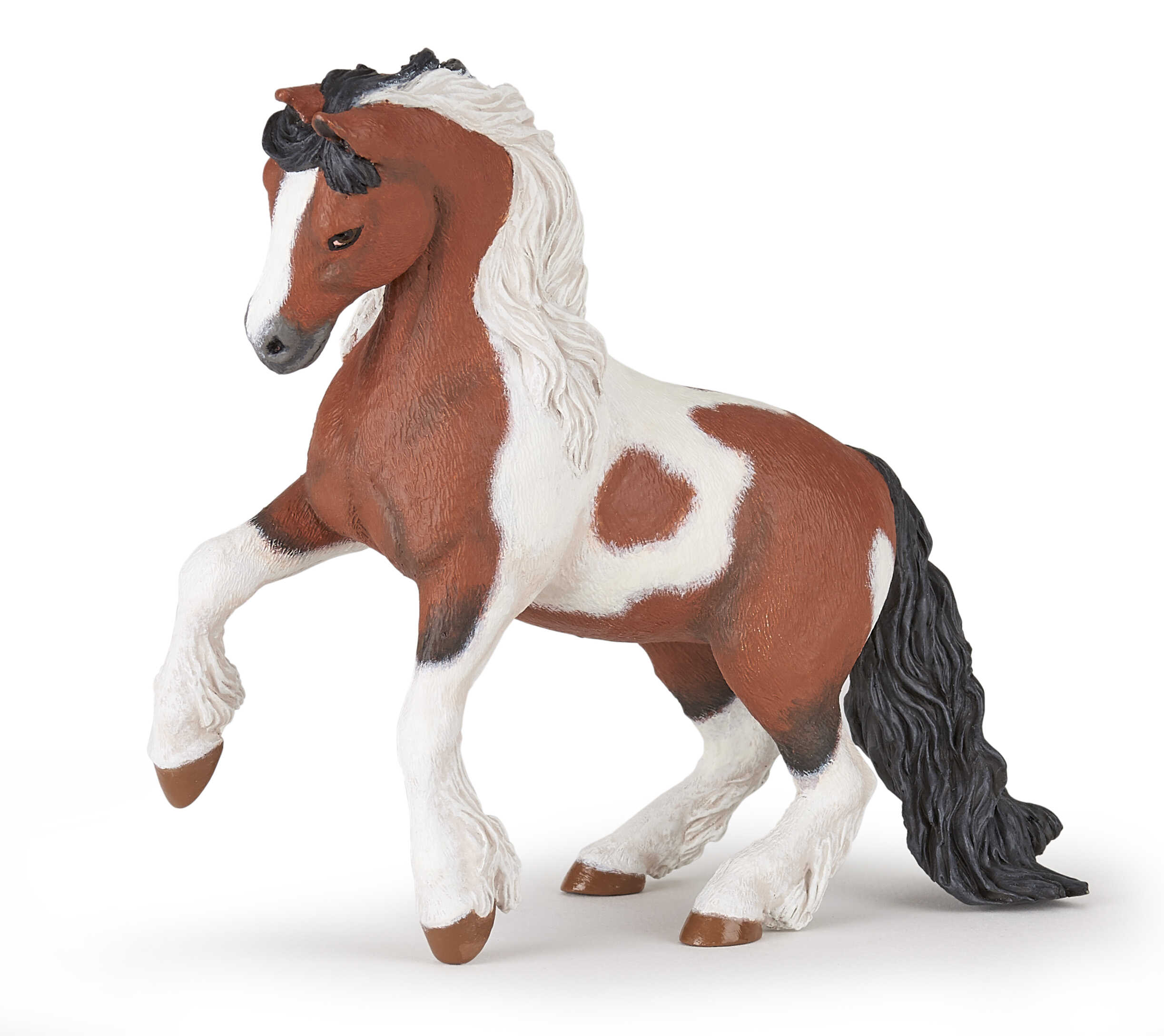 PAPO - Irish Cob