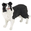 PAPO - Border Collie