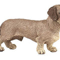 PAPO - Dachshund