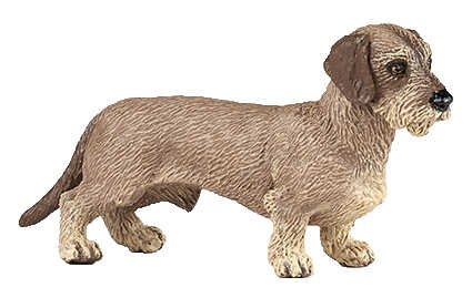 PAPO - Dachshund