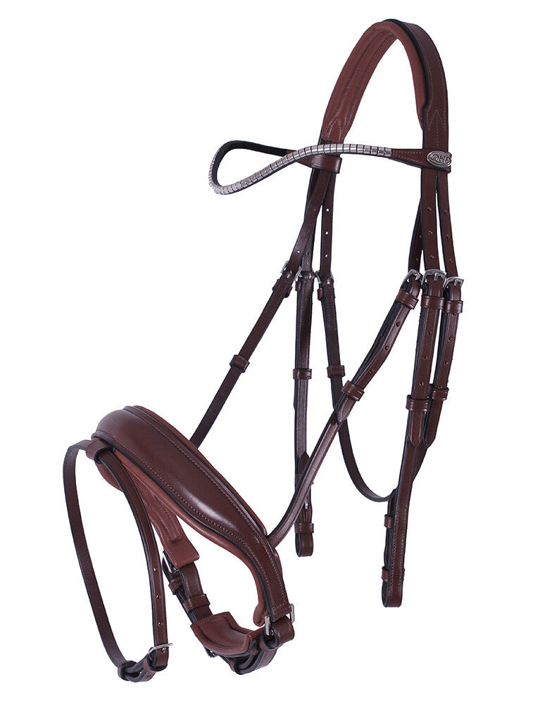 Bridle Odin