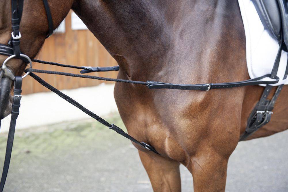 PESSOA SNAFFLE DOUBLE JOINTED, 4-RINGS, 18MM STAINLESS STEEL / 11.5