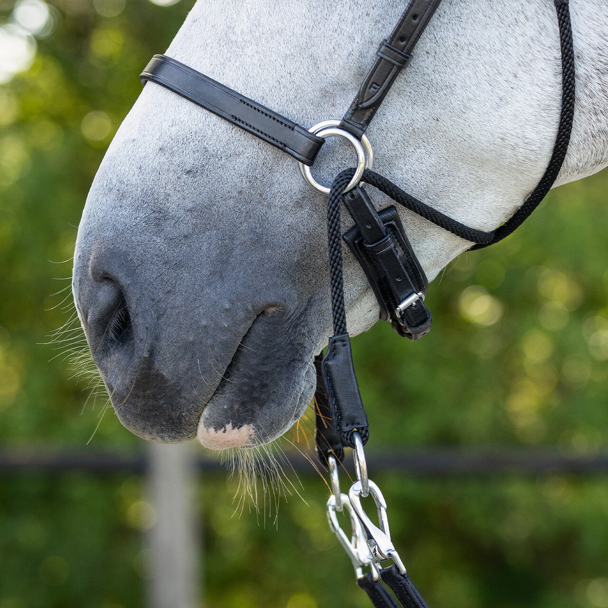 Bitless bridle Ceto incl. reins