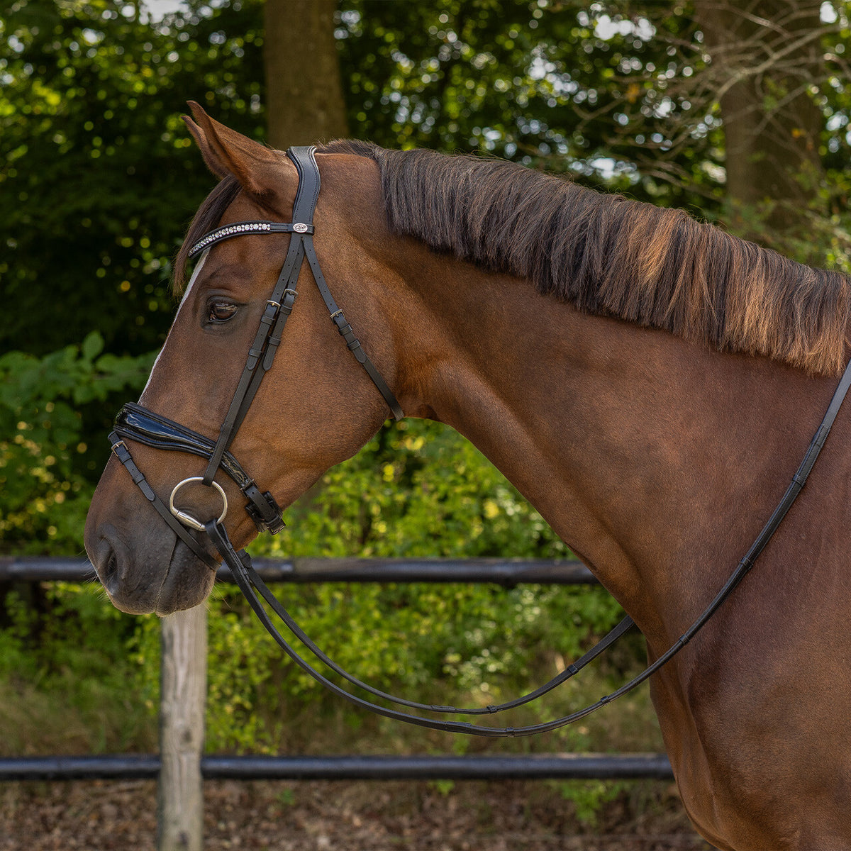 Bridle Orlando incl. reins