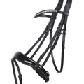 Bridle Orlando